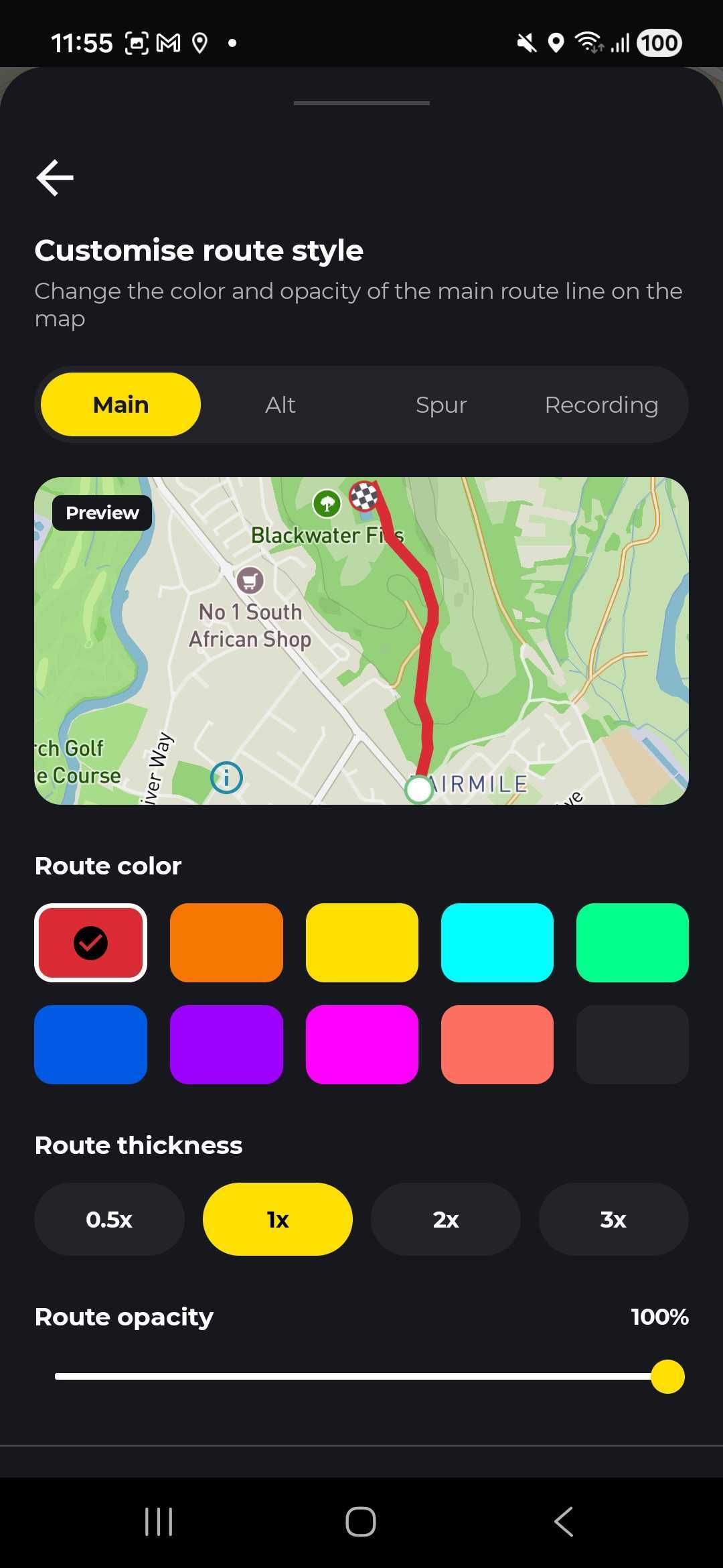 Customise route style screen with the route colour set to red
