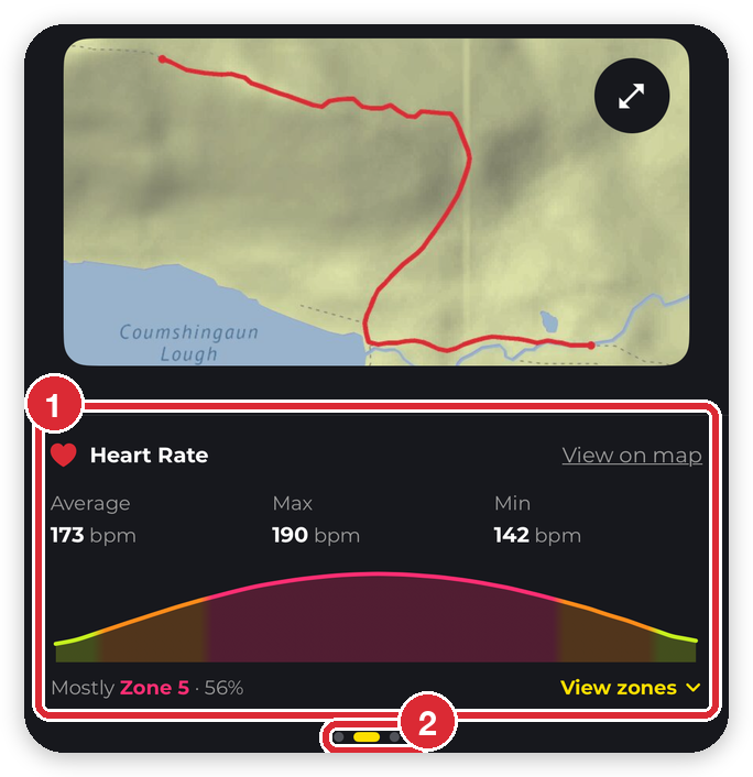 A recording overview with the route map and the Heart Rate card highlighted, and the page dots for swiping between the stats cards